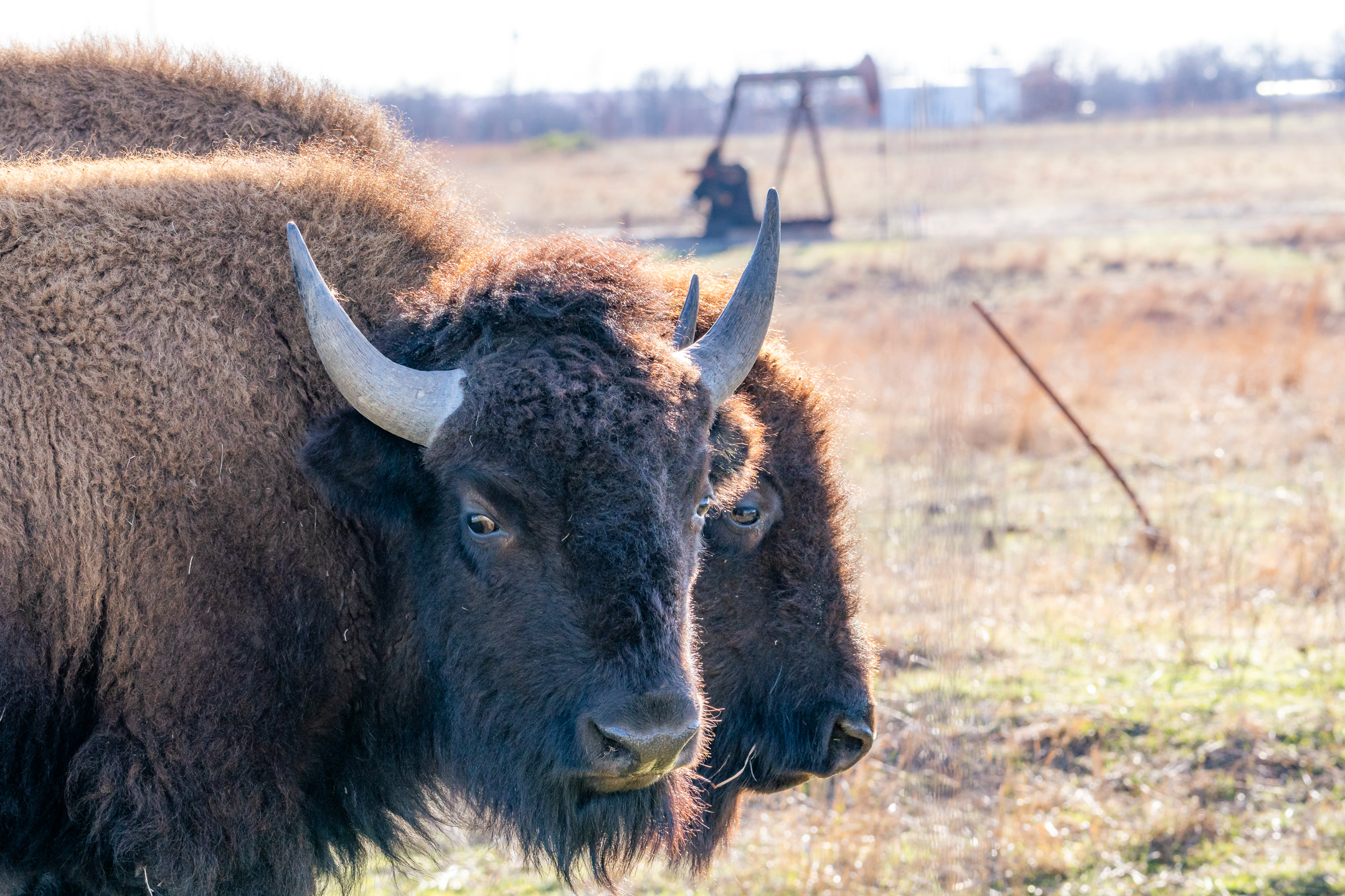 Osage Nation Completes First Set of Orphaned Wells Land Surveys Aimed ...