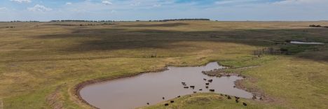 Osage Ranch Landscape